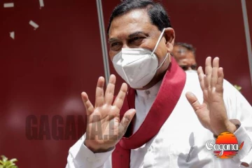 මොළ 7ක් තියෙන බැසිල් යළි ලංකාවට