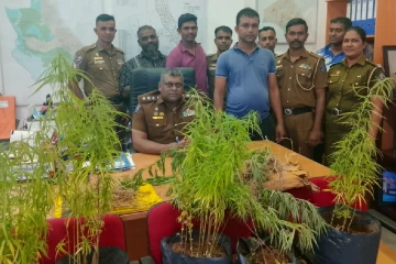வசமாக சிக்கிய இடியாப்ப வியாபாரிக்கு நீதிமன்றம் பிறப்பித்த உத்தரவு