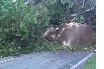 ප්‍රධාන මාර්ගයට පස් කන්දක් කඩා වැටේ - ගමනා ගමනයට බාධා..(VIDEO)