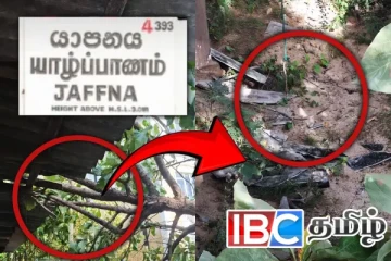 யாழில் வீசிய பலத்த காற்று - வீட்டின் மேல் முறிந்து விழுந்த மரம்