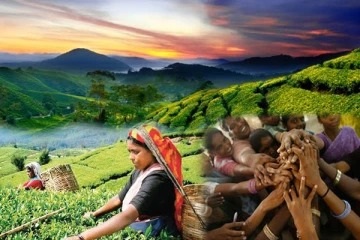 அடிமைகளின் ரத்தத்தை அருந்துகின்றோம்