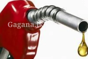 තෙල් ගන්න එක සීමා වෙයි ද?. වෙළඳපොලෙහි සිදුවුණ දෙය මෙන්න..