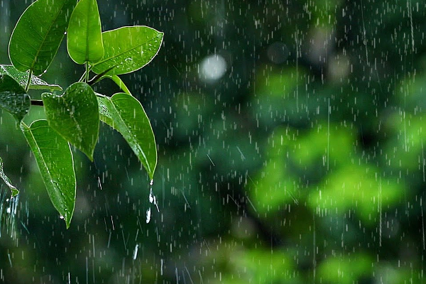 இடியுடன் கூடிய மழை பெய்யக்கூடும் | Thunderstorms Are Possible