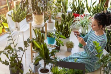 நாம் மறந்தும் வீட்டில் வளர்க்ககூடாத செடிகள்