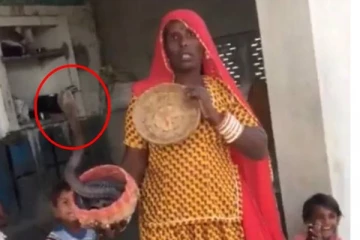 தடுப்பூசி போட்டுக்க மாட்டேன்! மருத்துவ ஊழியர்களிடம் விஷப்பாம்பை காட்டி மிரட்டிய கிராமத்து பெண்! அதிர்ச்சி வீடியோ