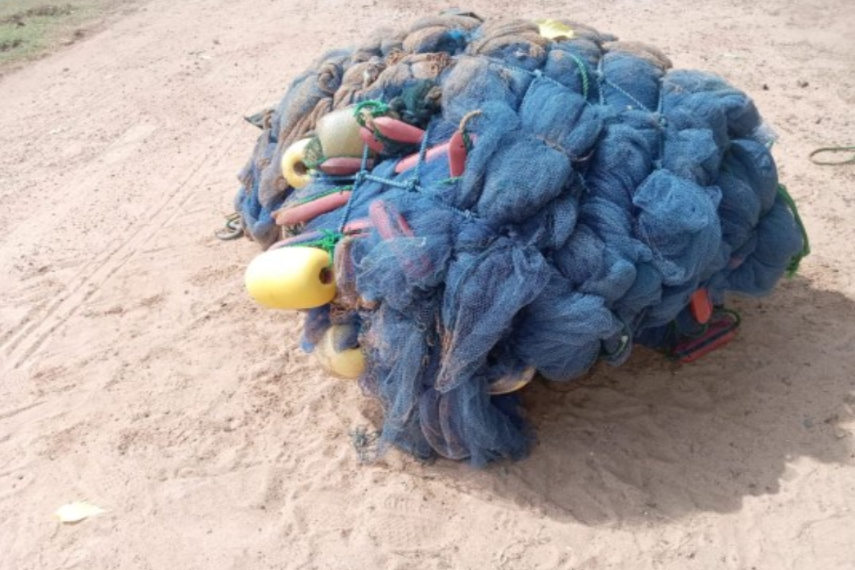 யாழில் சுற்றிவளைப்பில் சிக்கிய இருவர் ; விடுக்கப்பட்ட எச்சரிக்கை | Two Held In Jaffna Raid Police Issue Warning