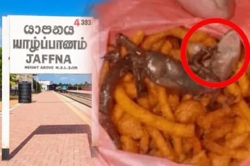 யாழில் மிக்சருக்குள் இருந்த பொரிந்த பல்லி: கேள்விக்குறியாகும் உணவு பாதுகாப்பு