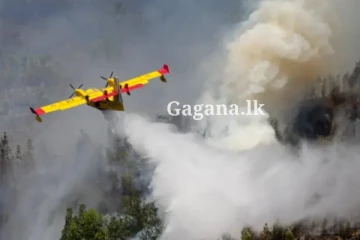 ගුවන් යානයක් කඩා වැටෙයි.