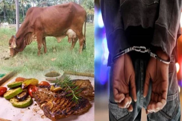 யாழில் நேர்ந்த கொடூரம் ; பசு மாட்டை திருடி இறைச்சியாக்கிய மூவர் கைது