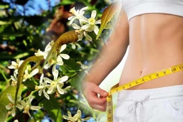 காலை வெறும் வயிற்றில் இந்த பானத்தை குடிங்க! உடல் எடையை ஈஸியா குறைக்கலாம்