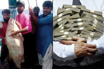 மீன்களை அசுர விலைக்கு விற்று ஒரே இரவில் கோடீஸ்வரனான மீனவர்