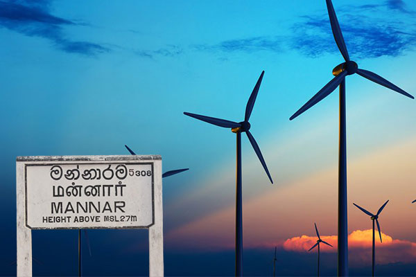 காற்றாலைக்கு எதிராக கட்டைக்காட்டில் வெடித்தது போராட்டம் | Protest Breaks Out Kattai Forest Against Wind Farm
