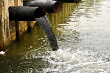 தொழிற்சாலை கழிவுகளை அழிக்கும் பாக்டீரியா கண்டுபிடிப்பு