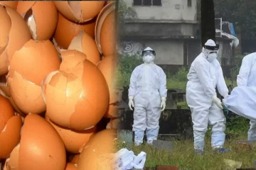 இந்தியாவில் இருந்து முட்டைகள் மூலம் இலங்கைக்கு வரும் ஆபத்து