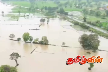 மல்வத்து ஓயா பெருக்கெடுப்பால் பாதிக்கப்பட்ட நெற் செய்கை