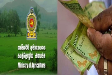 விவசாயிகளின் வங்கிக்கணக்குகளில் வைப்புச் செய்யப்படவுள்ள பணம்; விவசாய அமைச்சு!