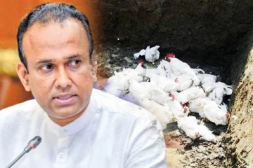 பறவைக் காய்ச்சல் தொடர்பில் அச்சம் கொள்ள தேவையில்லை: சுகாதார அமைச்சு விளக்கம்