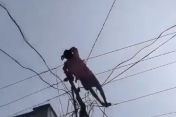 கரண்ட் வயர் மேல் படுத்து தூக்கம்; அதிர்ந்த ஊர் மக்கள் - வைரலாகும் வீடியோ