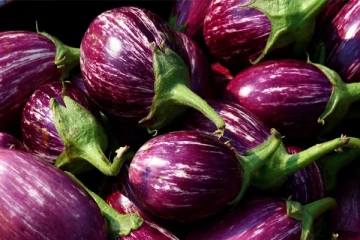 கத்தரிக்காயில் மனிதர்களுக்கு தீங்கு விளைவிக்கும் பூச்சிக்கொல்லிகள்