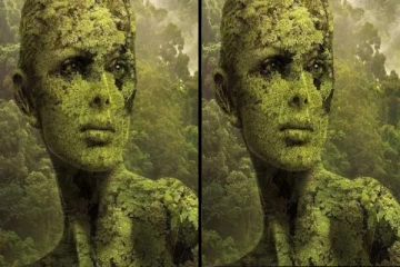 உங்கள் எதிர்காலத்தை கணிக்க ஒரு Test: படத்தில் தெரிவது என்ன?