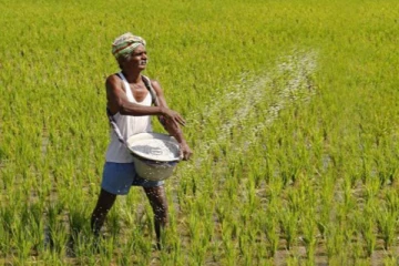 உரங்களை விரைவாக வழங்க அதிரடி நடவடிக்கை!
