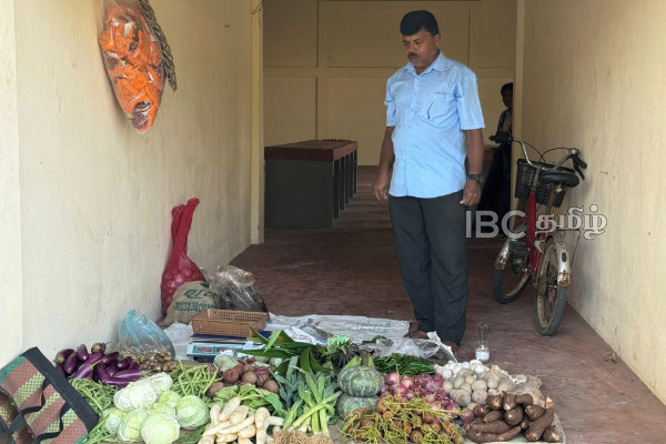 மீண்டும் சொந்த இடத்தில் இயங்க ஆரம்பித்துள்ள காங்கேசன்துறை பொதுச் சந்தை | Kankesanthurai Public Market Resumes Operations