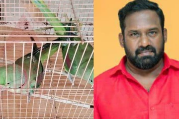 கிளி வளர்த்த ரோபோ ஷங்கருக்கு அபராதம்! இத்தனை லட்சமா?