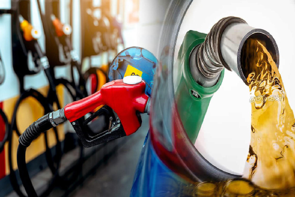 இலங்கையில் அடுத்த மாதம் மேலும் அதிகரிக்கும் எரிபொருள் விலை! குறைக்கும் சந்தர்ப்பத்தை அறிவித்த அதிகாரி | Fuel Price Hike In Sri Lanka