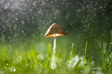 இன்றைய வானிலை அறிவிப்பு!