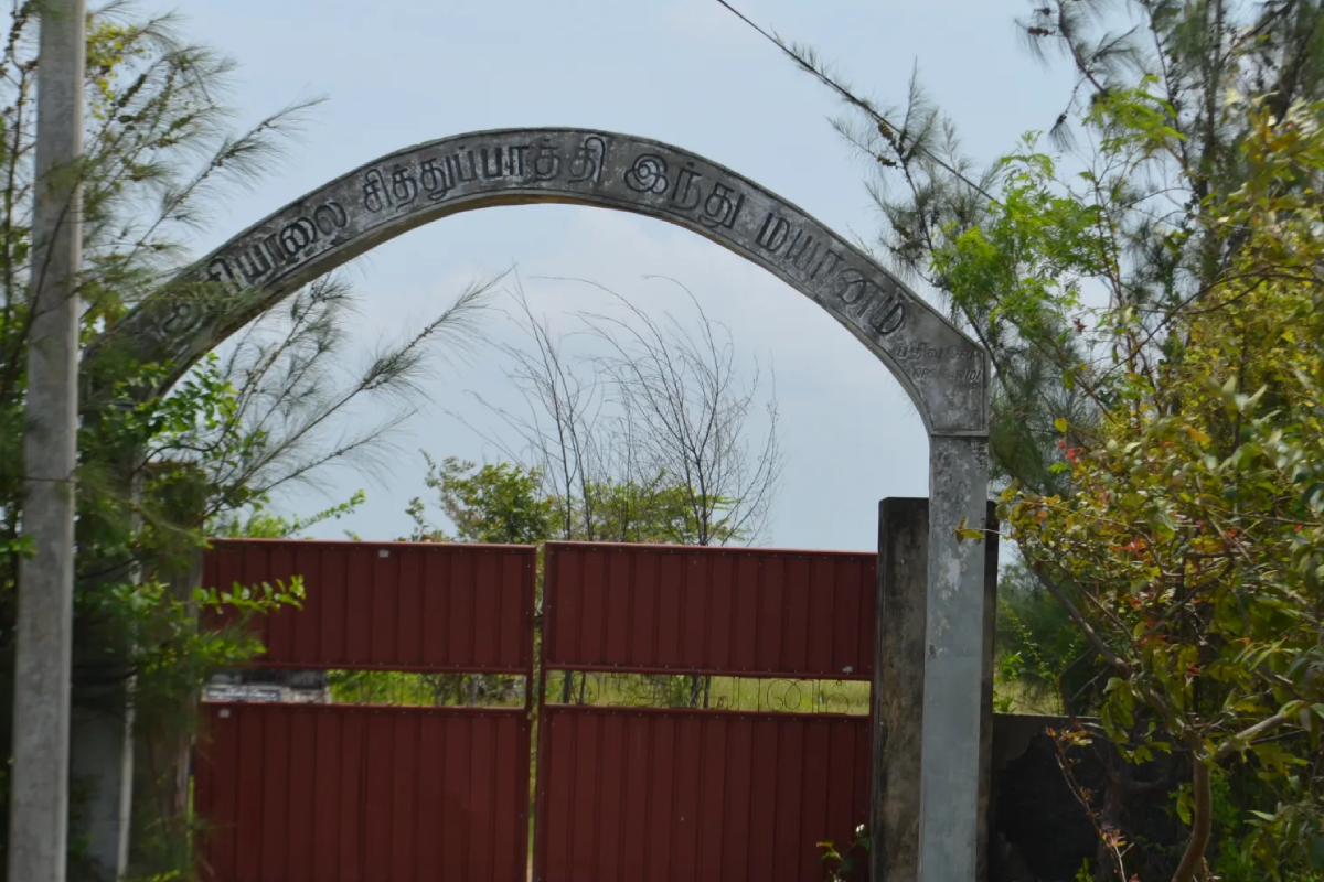 தொற்றுநோயால் இறந்தவர்கள் புதைக்கப்பட்டிருக்க சாத்தியம்! வெளியான செம்மணிப் புதைகுழி அறிக்கை | Died Due Epidemic Buried Semmani Report Released தொற்றுநோயால் இறந்தவர்கள் புதைக்கப்பட்டிருக்க சாத்தியம்! வெளியான செம்மணிப் புதைகுழி அறிக்கை | Died Due Epidemic Buried Semmani Report Released