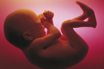 கடந்த 2 ஆண்டுகளில் மட்டும் 950 முறை கருக்கலைப்புகள்: விசாரணையில் அதிர்ச்சி தகவல்