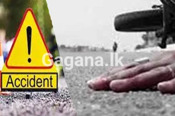බිහිසුණු මෝටර් රථ අනතුරෙන් විදේශිකයෙකු ඇතුළු දෙදෙනෙකු ජීවිතක්ෂයට..!