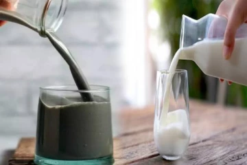 கருப்பு நிறத்தில் பால்! எந்த விலங்கின் பால் இந்த நிறத்தில் இருக்கும்னு தெரியுமா?