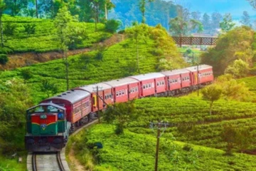 ''මුළු රටක් දෙනෙත් යොමා බලා සිටි දුම්රිය ගමන යළි ඇරඹේ'' - ‘පොඩි මැණිකේ’ පේරාදෙණියට ළඟා වෙයි