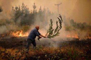 தென்னமெரிக்க நாடான சிலியில் ஏற்பட்ட காட்டு தீ ; 60 பேர் கைது