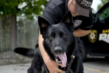 அமெரிக்காவில் சர்ச்சையை ஏற்படுத்திய சம்பவம்; கறுப்பின இளைஞர்மீது நாயை ஏவிவிட்ட பொலிஸார்