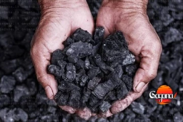 බාල ගල්අඟුරු සිද්ධියට සමාගමෙන් ලොකු දඩයක්