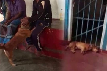 බල්ලෙකු නිසා පොලීසියේ හිත උණුවී, සිරගත කළ පුද්ගලයකුට නිදහස - සමාජ මාධ්‍ය කැළඹූ පුවත..(PHOTOS)