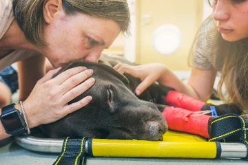 இறுதி சடங்கிற்காக 2 நாள் ஊதியததுடன் கூடிய விடுமுறை; அறிவித்த நாடு