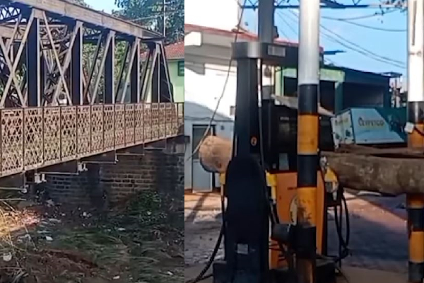 இலங்கையை புரட்டிப்போட்ட புயல்! நீரில் தவித்த பாட்டியை காப்பாற்றி ஒருவரின் உருக்கமான கதை | Story Of A Man Who Saved His Grandmother