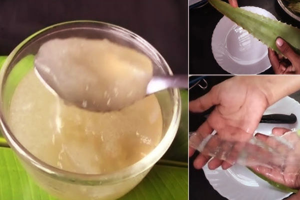 கற்றாழை ஜெல்லுடன் இந்த பொருளை கலந்து பூசுங்க - முடி காடு போல வளரும் | Things To Mix With Aloe Vera Hair Growth Beauty