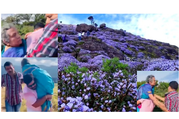 idukki-kerala-neelakurinji-87-year-old-mother