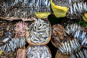 மலையக பகுதிகளில் கருவாடு விலைகள் அதிகரிப்பு:ஒரு கிலோ கிராம் நெத்திலி 2000 ரூபா