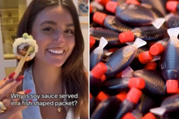 ஆசிய உணவகங்களின் மீன் வடிவ பிளாஸ்டிக் போத்தல்களுக்கு தடை: பிரபல நாடு அதிரடி முடிவு