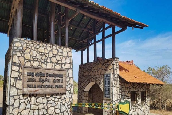 இலங்கை வரும் சுற்றுலா பயணிகளுக்கு ஏமாற்றம் | Disappointment For Tourists Coming To Sri Lanka