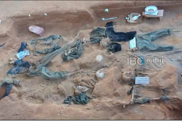 சரணடைந்தவர்களை படுமோசமாக கொலை செய்துவிட்டு கொக்குத்தொடுவாயில் குழி தோண்டிப் புதைத்திருக்கிறார்கள் : வினோ எம்பி | Who Surrendered Were Brutally Murdered And Buried