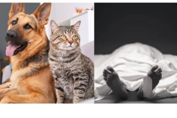 இளைஞரை அடுத்தடுத்து கடித்த நாய், பூனை.. தடுப்பூசி போட்டாமல் அலட்சியம் - கடைசியில் நேர்ந்த கொடூரம்!