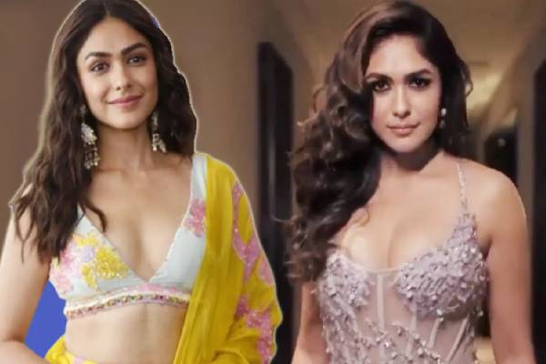 தனுஷை கரம் பிடிக்கும் மிருணாள் தாகூர்? வாய்பிளக்க வைக்கும் சொத்து மதிப்பு! | Dhanush To Marry Actress Mrunal Thakur Net Worth