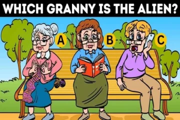 IQ Test: மாறுவேடத்தில் இருக்கும் ஏலியன்.. 5 வினாடிகளில் புதிரை தீர்க்க முடியுமா?