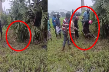 கிளிநொச்சியில் காயங்களுடன் பற்றைக்குள் குற்றுயிராக மீட்கப்பட்ட நபர்; நடந்தது என்ன?